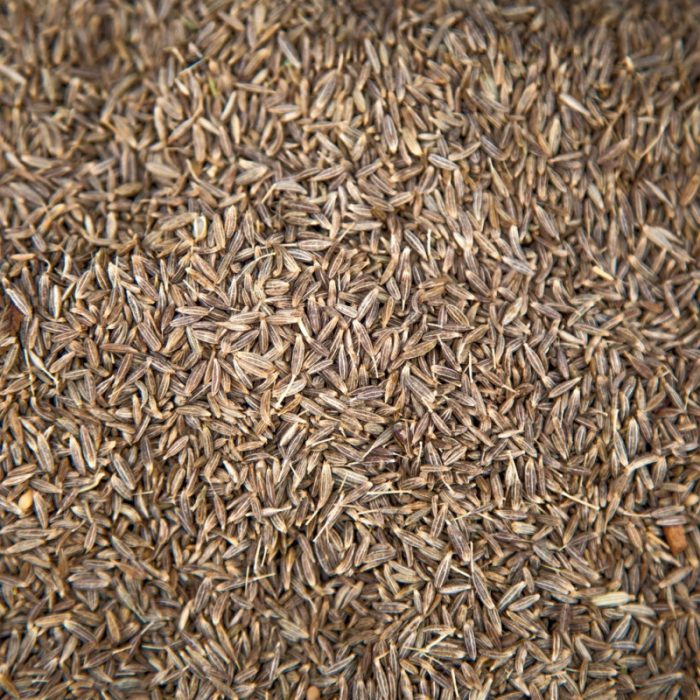 COMINO GRANO