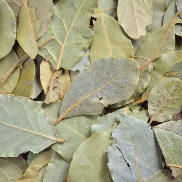 LAUREL HOJA