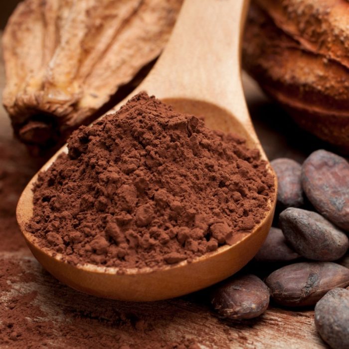 CACAO ALCALINO