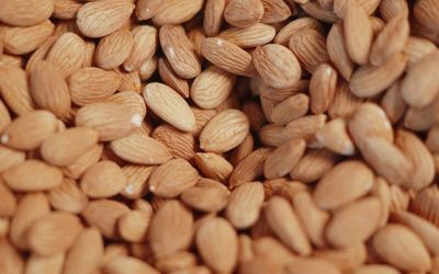 Frutos secos a granel para venta mayorista