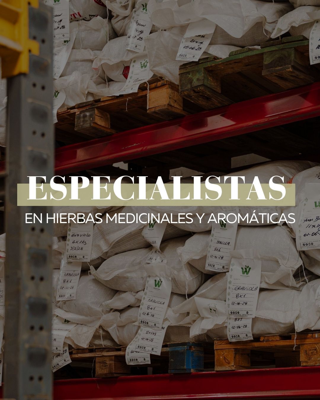 Estantería con bolsas de hierbas medicinales y aromáticas en el depósito de Werdener Distribuidora