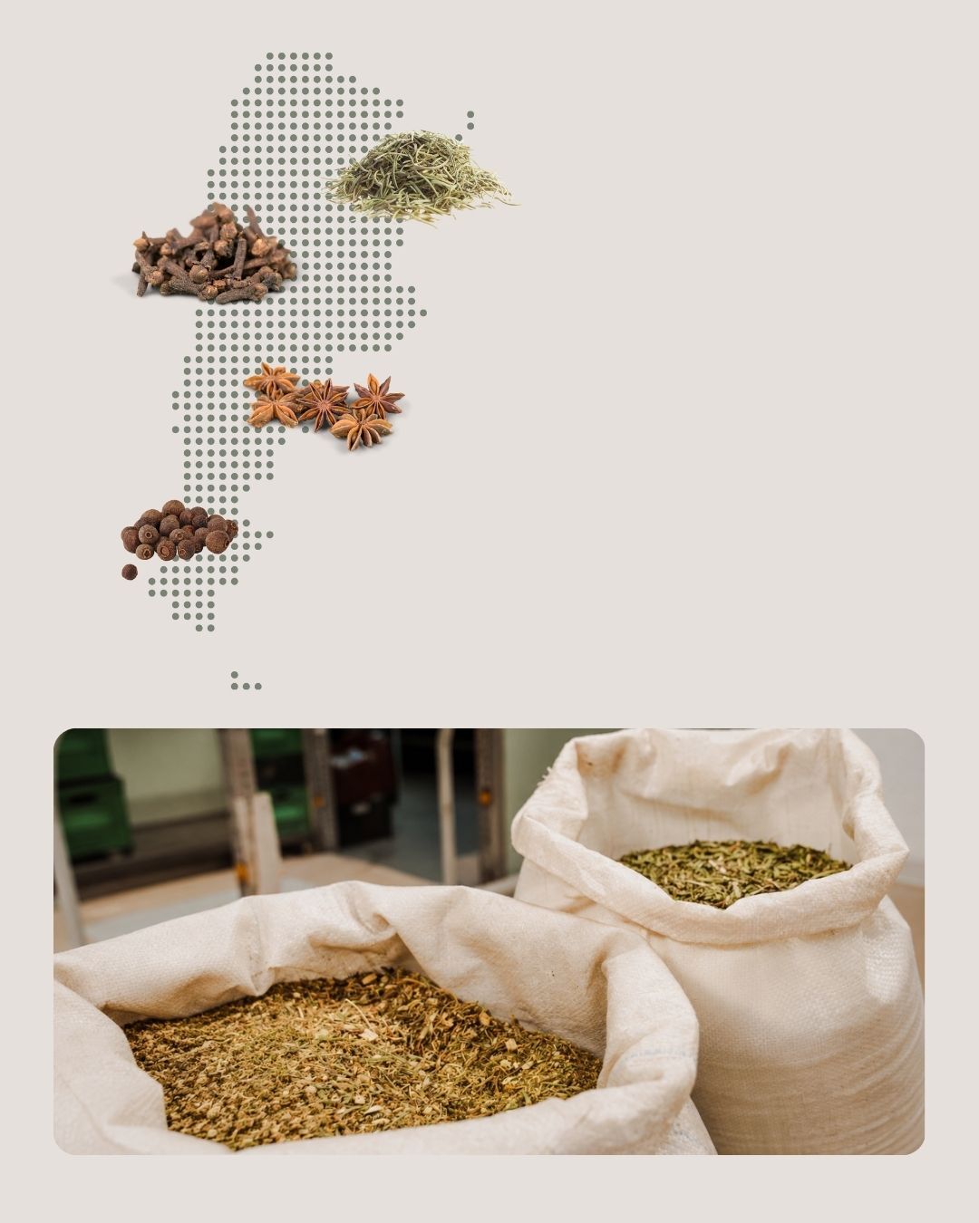 Mapa de Argentina con hierbas y bolsas de hierbas secas a granel de Werdener Distribuidora